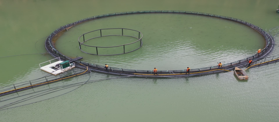 尼勒克縣:深耕&ldquo;水上糧倉&rdquo; 打造高質(zhì)量發(fā)展&ldquo;綠色引擎&rdquo;